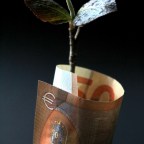 Επιμήκυνση κεφαλαιοποίησης